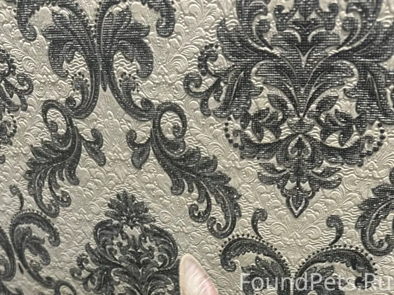 ❗️❗️❗️ИЩЕМ ХОЗЯЕВ❗️❗️❗️ Найден...