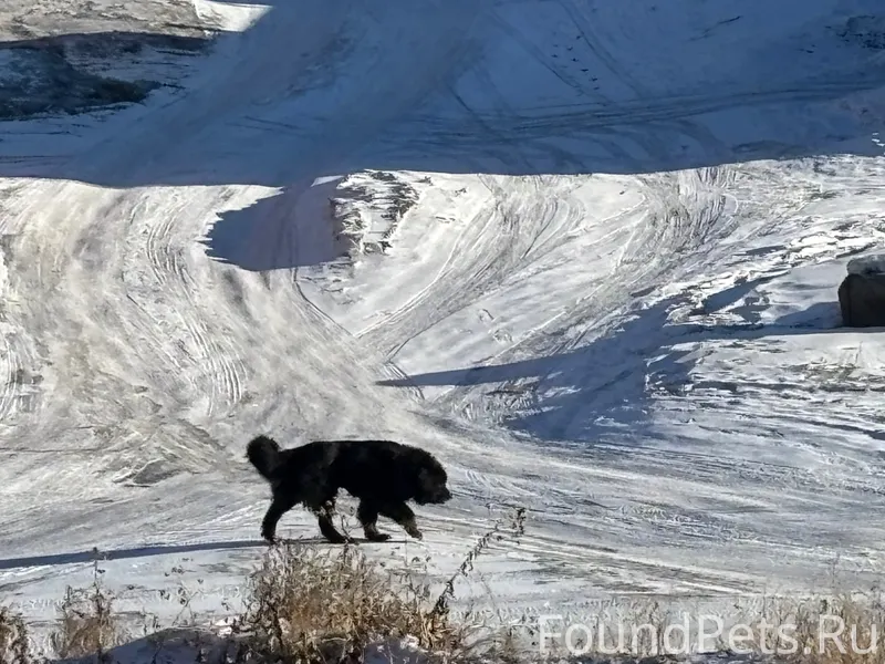 Добрый день, сегодня с утра хо...