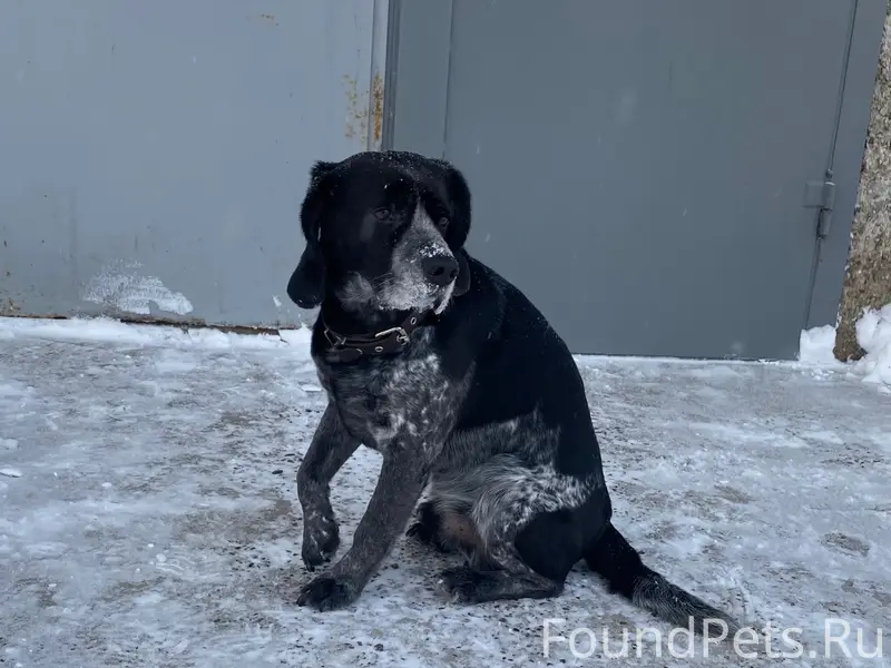 На б-ре Космонавтов во дворах....