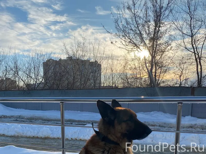 На остановке Кольцевая (перед ...