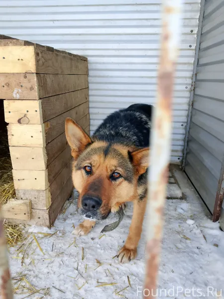 🆘Ау, хозяева!!!🆘 Неужели не за...