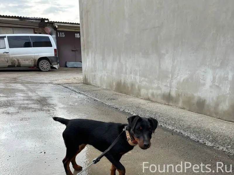 На ул. Севастопольской на запр...