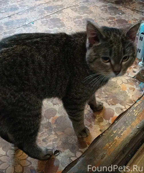 Добрый день! В районе родника ...