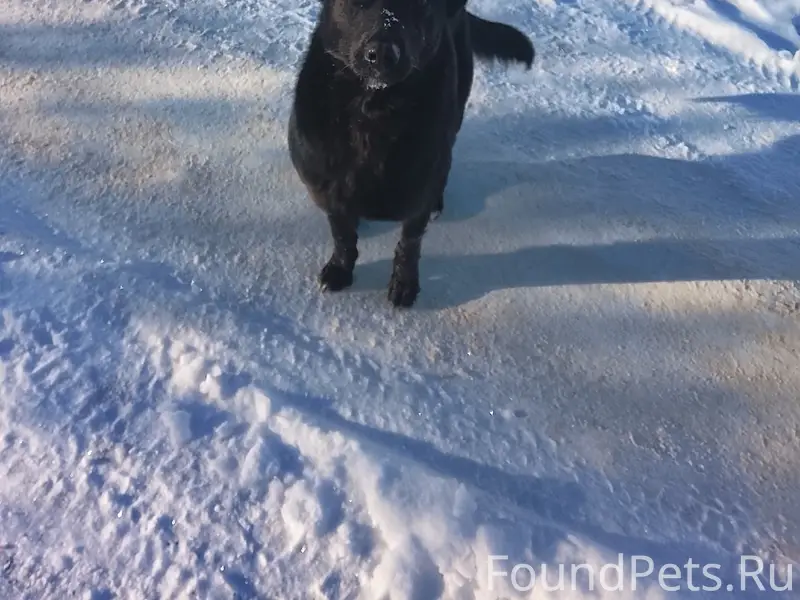 #Черныйсписок #Ржев Добрый ден...