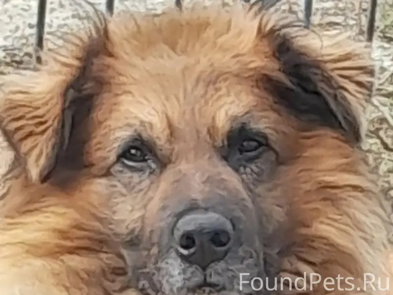 Здравствуйте, помогите, пожалу...