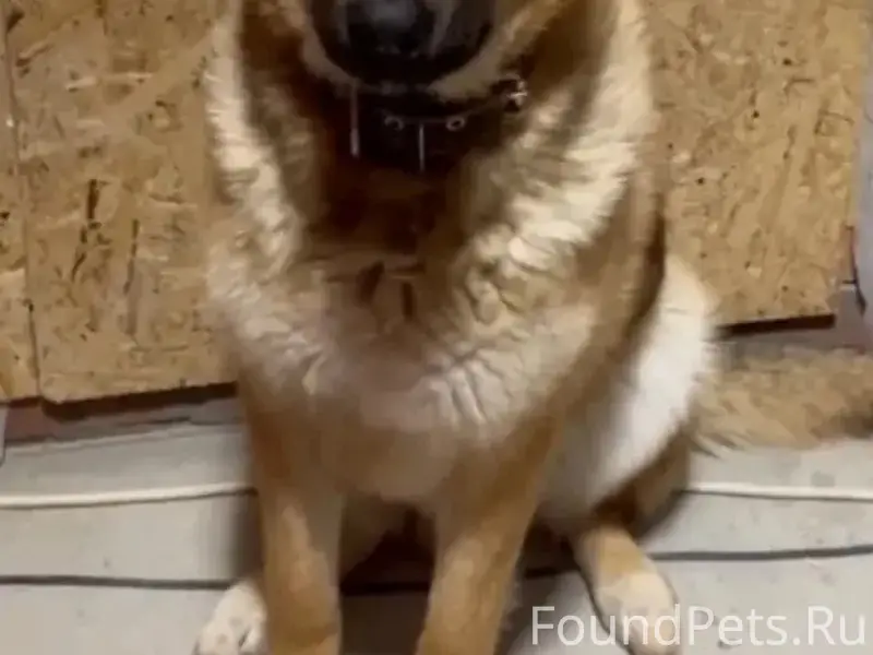 Здравствуйте. Опубликуйте, пож...