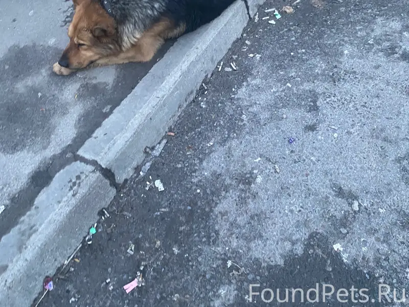 Сегодня 17фев в 7:30, остановк...