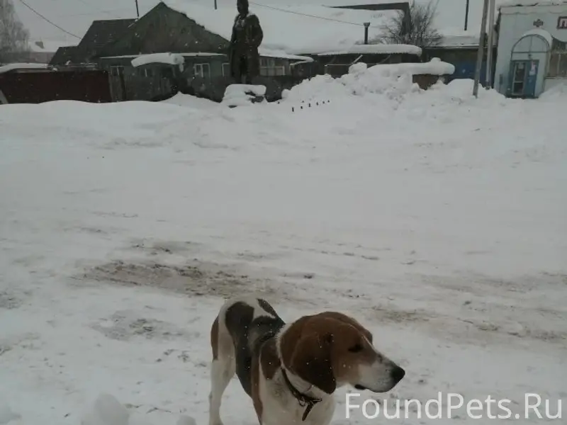 В Натальинске с ноября ходит р...