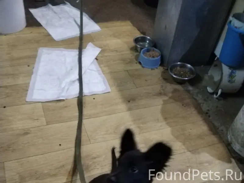 💔 СРОЧНО! В ГАРАЖЕ ГРУСТИТ МАЛ...