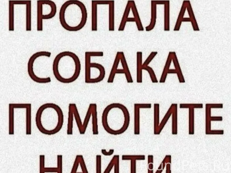 Друзья, помогите, кто с Вышки ...
