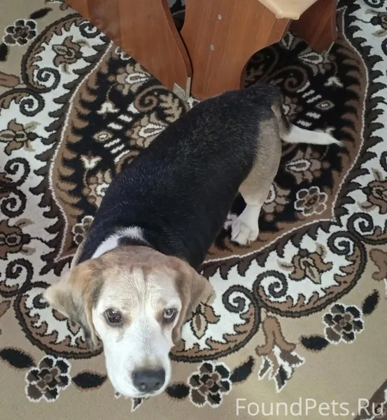 Не найден !Ищем ! В ночь на...