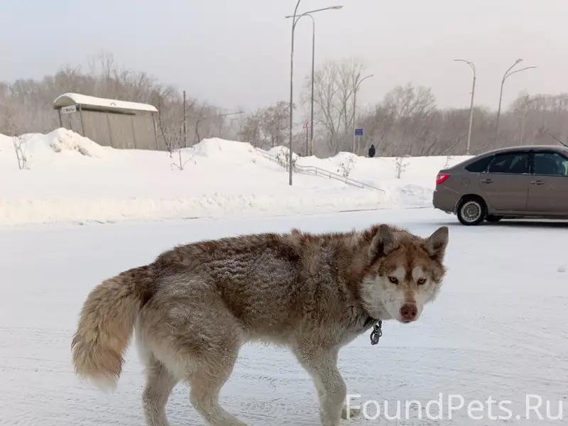 Срочно! Ищем старых или новых ...