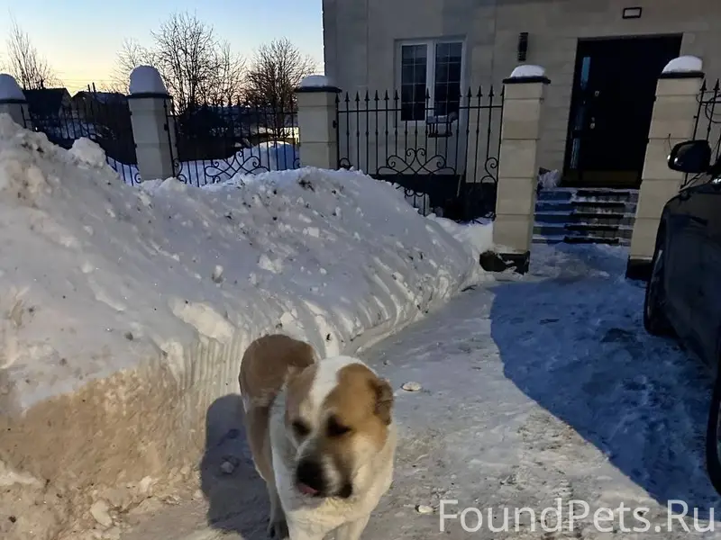 Друзья!! Будем благодарны за л...
