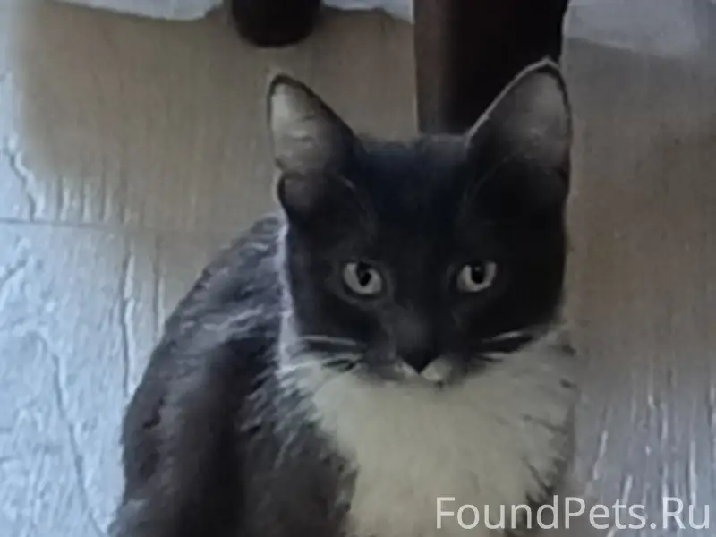 В сильные морозы на улице был....