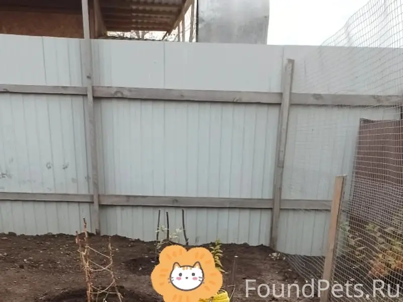 Добрый день! Потерялся вот так...