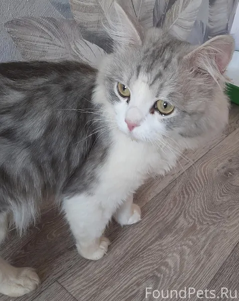 🚨В районе ЖД вокзала был найде...