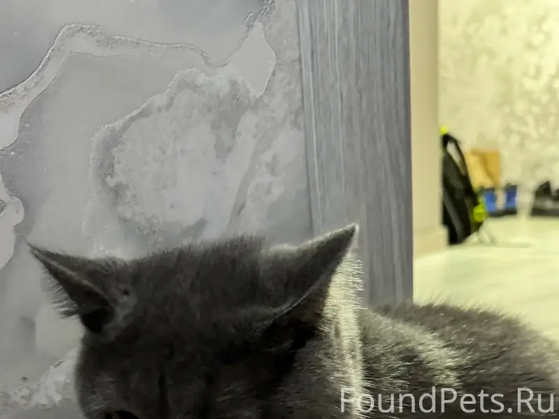 Опубликуйте, пожалуйста! Найде...