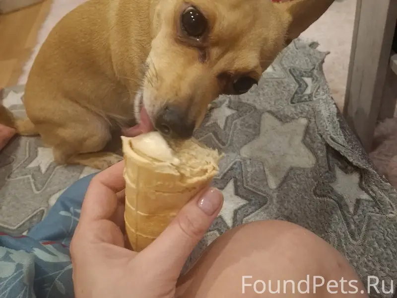 Помогаем информационно📣 Пропал...