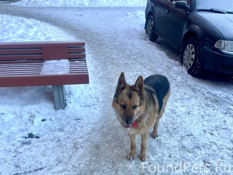 ГАТЧИНА! 🆘🆘🆘 РАЙОН АЭРОДРОМ! З...