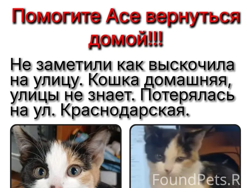 📍ул. Краснодарская, Кировский ...