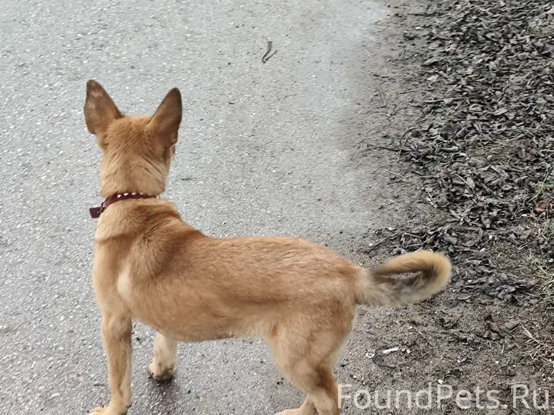 На улице Маяковского в районе ...