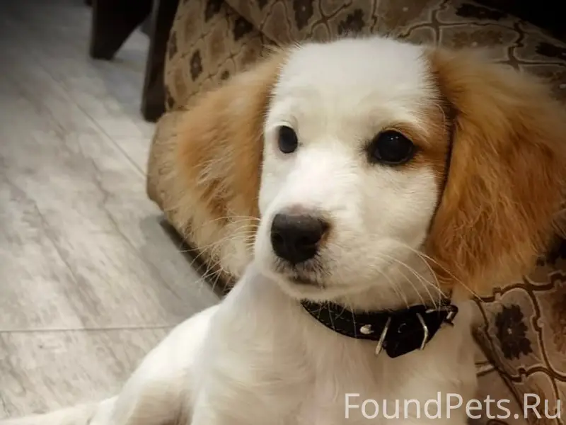 Доброго времени суток! Пропал ...