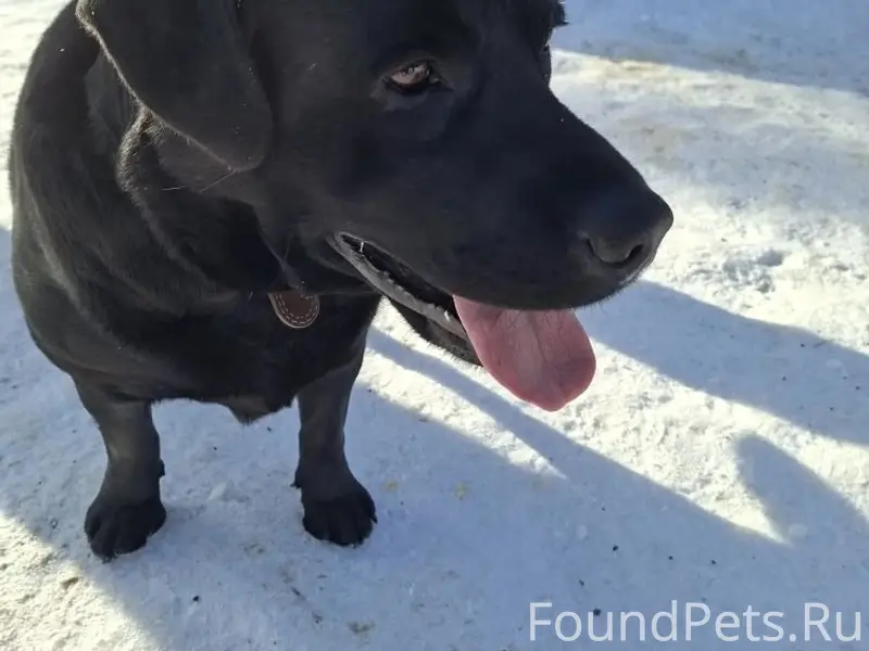 Репост, пожалуйста Срочно в но...