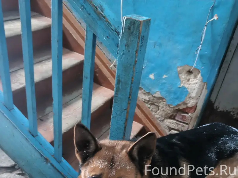 Несколько суток по всему город...