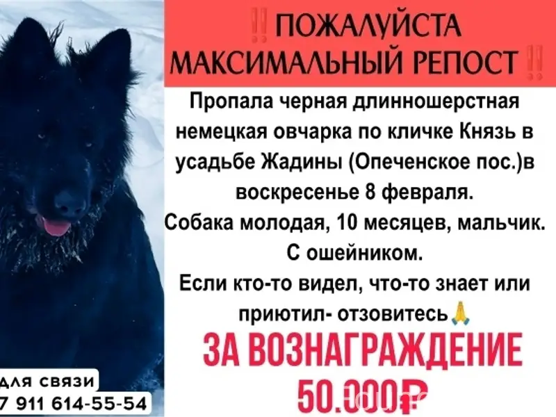 ‼ОЧЕНЬ ПРОСИМ О ПОМОЩИ‼ ‼ВОЗНА...