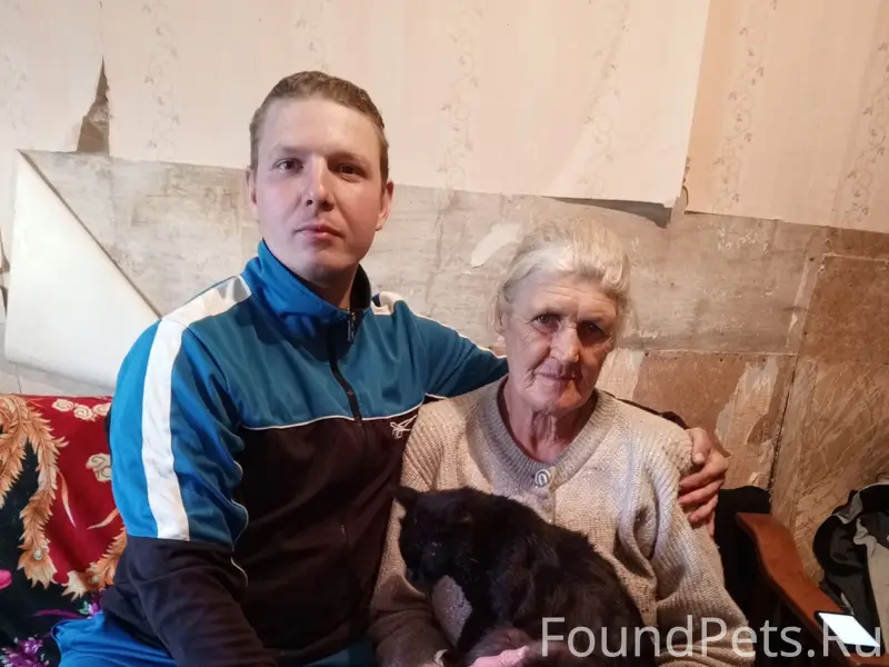 Пропал кот чёрный болешынт ни ...