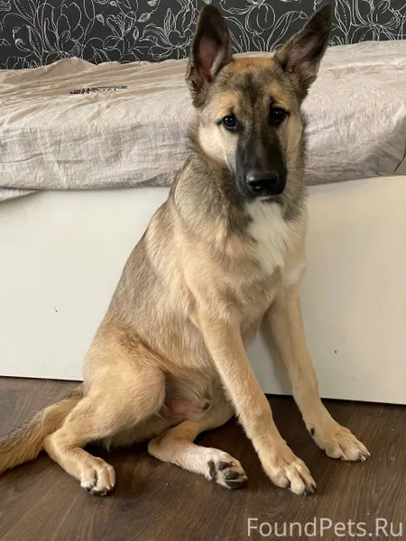 Найден мальчик между Комсомоль...