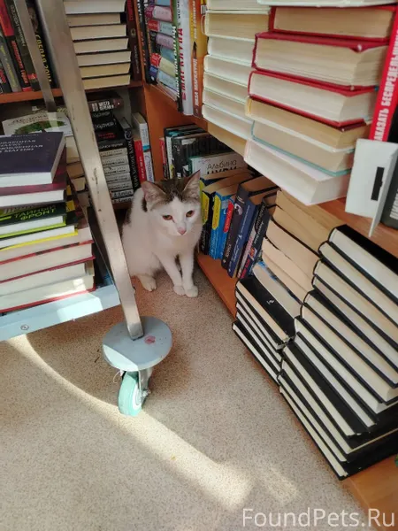 🆘🆘🆘Срочно нужна передержка !!!...