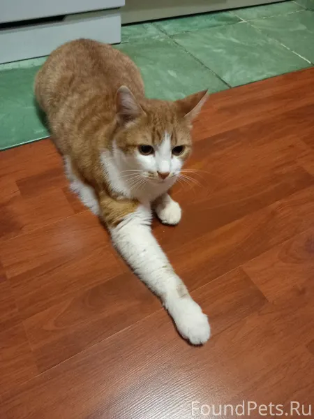 ПОМОГАЕМ ИНФОРМАЦИОННО Пропал ...