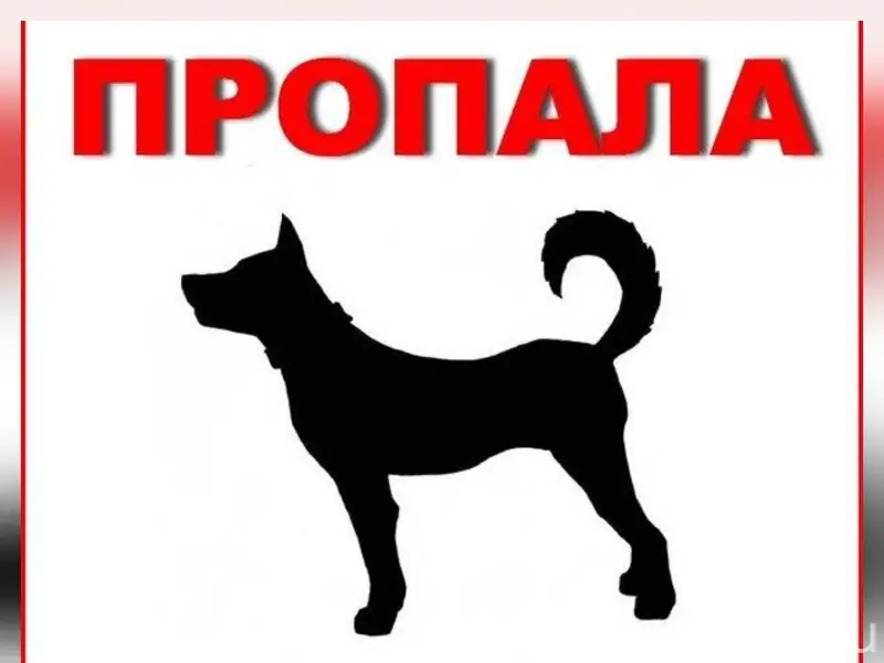 ВНИМАНИЕ!! 3 февраля,в районе ...