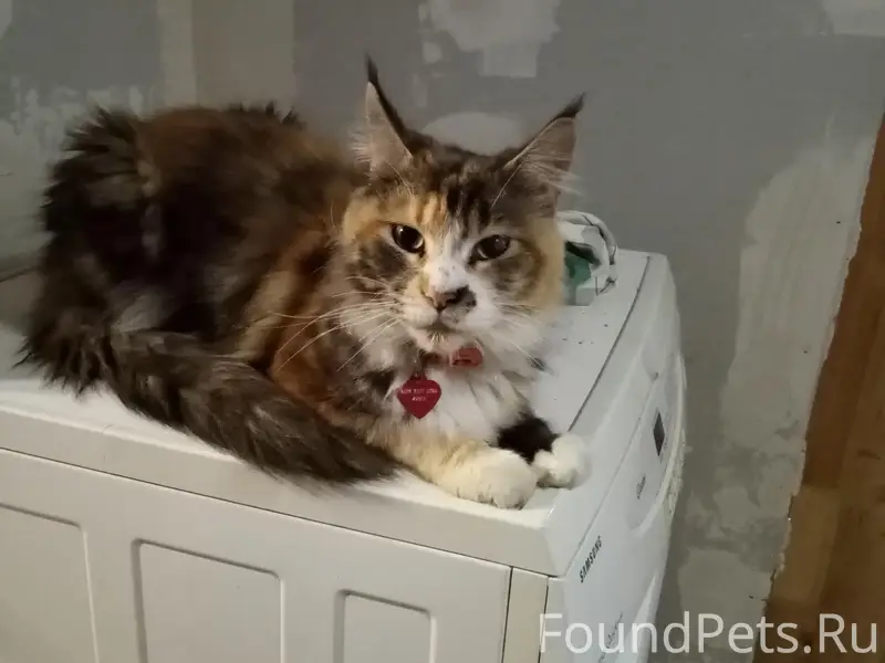 Внимание, нижняя Сулажгора! Ча...