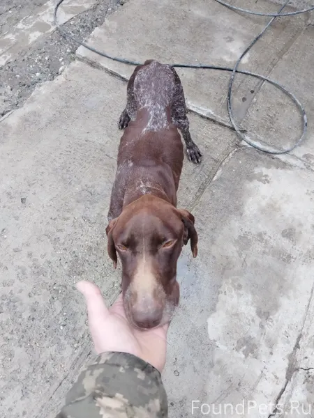 Найден 11 февраля в районе стр...