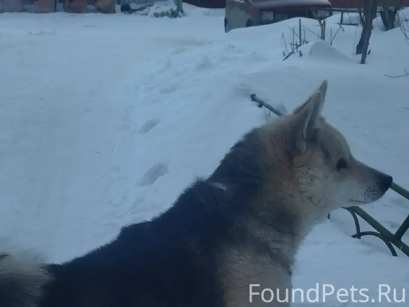 SOS!! У кого из частного секто...