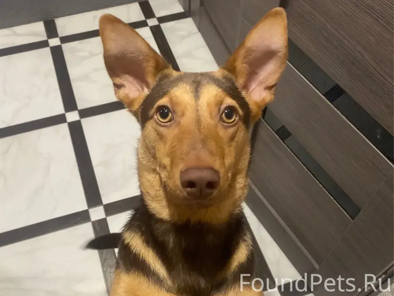 В районе болховского мкр сегод...