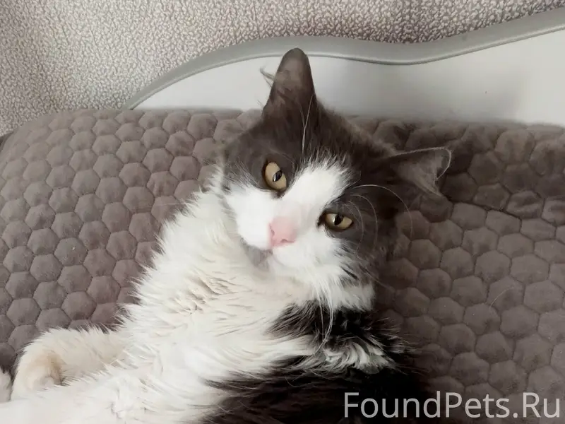 Уважаемые жители с.Махоново пр...