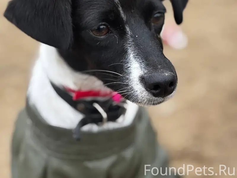 Не теряю надежды найти свою со...