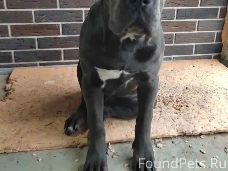 SOS!!! SOS!!! SOS!!! Продолжаю...