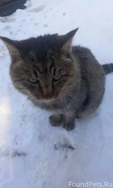 Всем здравствуйте! И вновь в Ц...