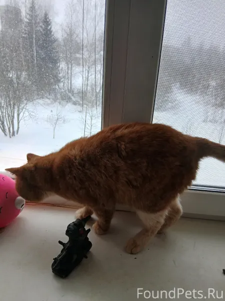 Больничная, 7 В сугробе найден...