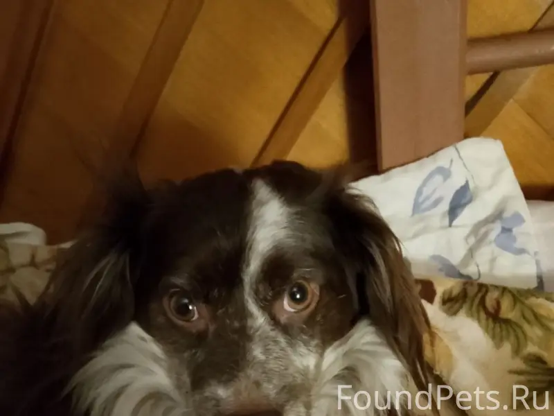 Ребята!Нужны репосты!Вчера в р...