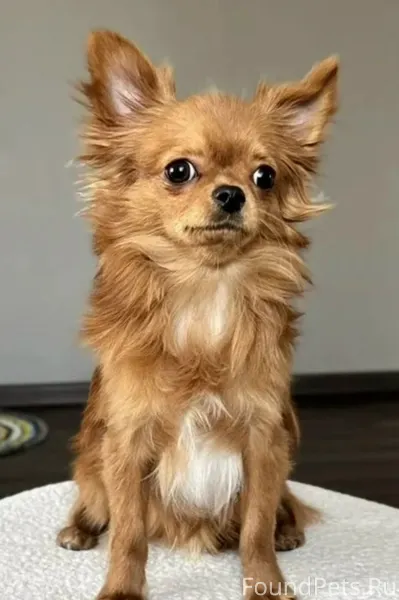 Мы не оставляем надежды найти ...