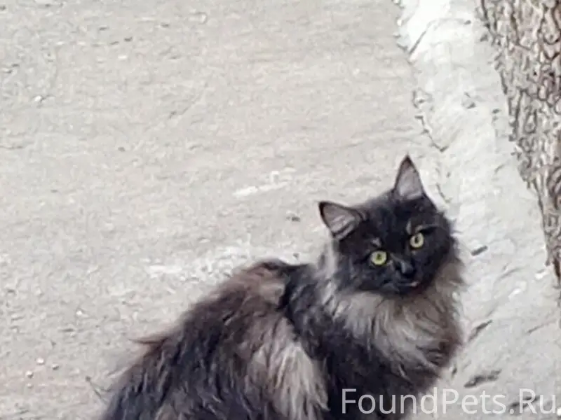 Может быть у кого-то есть...