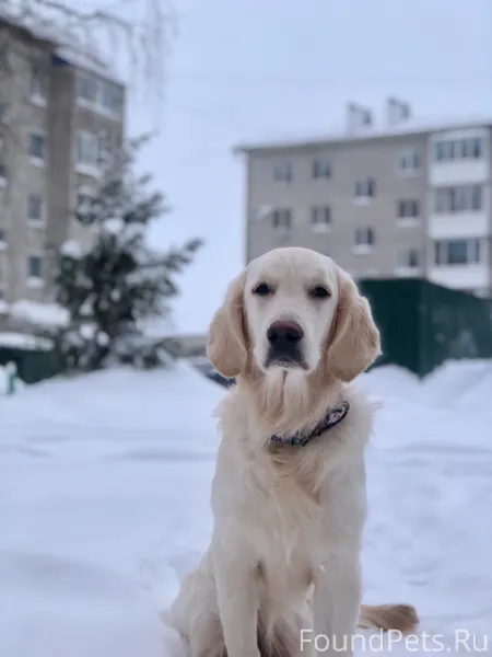 Друзья срочно 🆘🆘🆘 репост Потер...