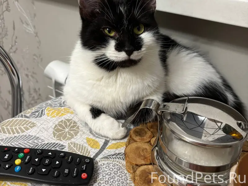 Сегодня, 12.02 со 2-го...