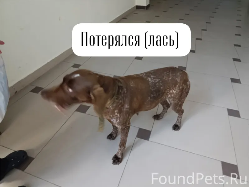 Г. Ставрополь, район Артема-Се...