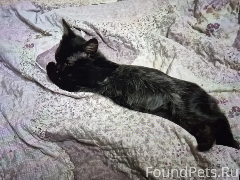 Здравствуйте, на ул Горной про...